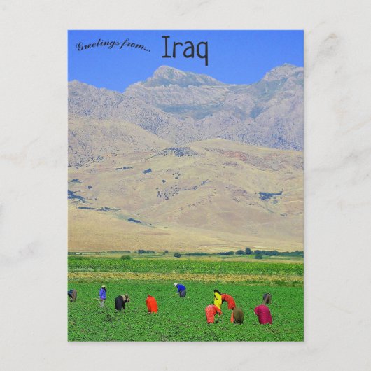 irakische kurdische Dorfbewohner im Irak Postkarte (Vorderseite)