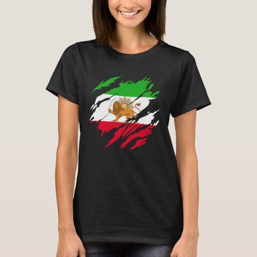 Iranischer Persischer Löwe Iran T-Shirt (Vorderseite)