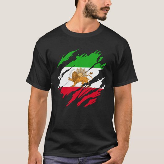Iranischer Persischer Löwe Iran T-Shirt (Vorderseite)