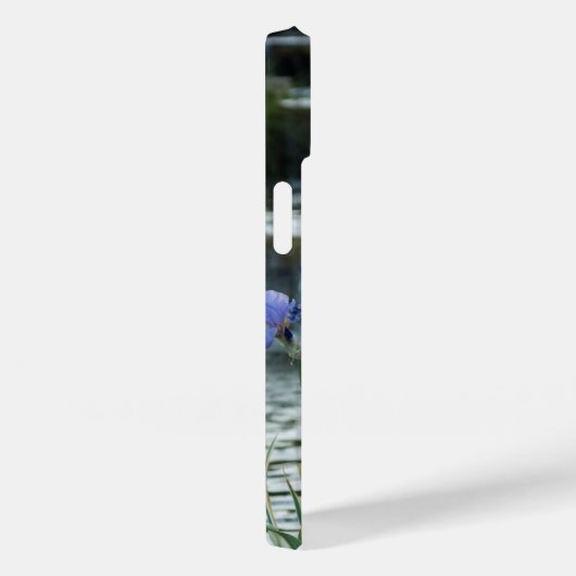 Ire auf Chateau iPhone Case (Rückseite / Rechts)