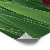Ire - GY Morrison Poster (Ecke)