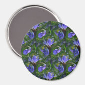 Ire....... Magnet (Vorderseite/Rückseite)