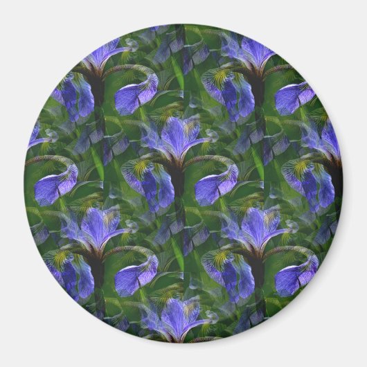 Ire....... Magnet (Vorne)