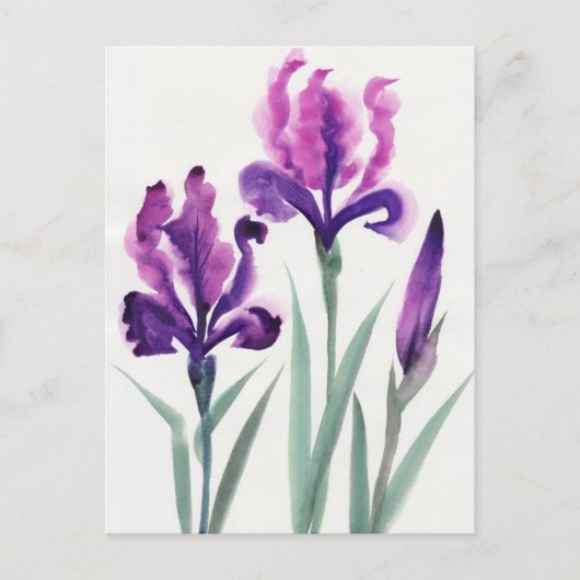 Ire Postkarte (Vorderseite)