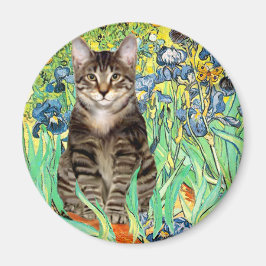 Ire - Tabby Tiger cat 30 Magnet