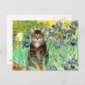 Ire - Tabby Tiger cat 30 Postkarte (Vorne/Hinten)