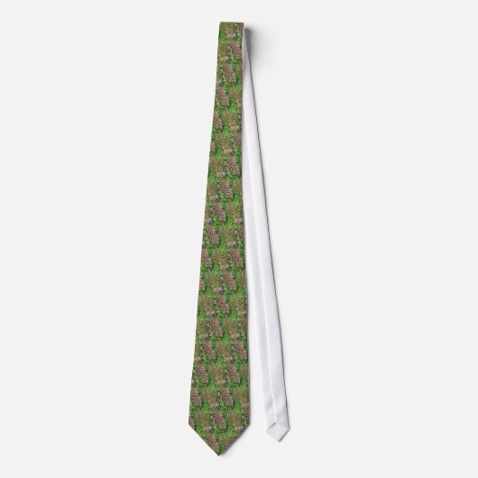 Ire und Coral Bells Krawatte (Vorderseite)