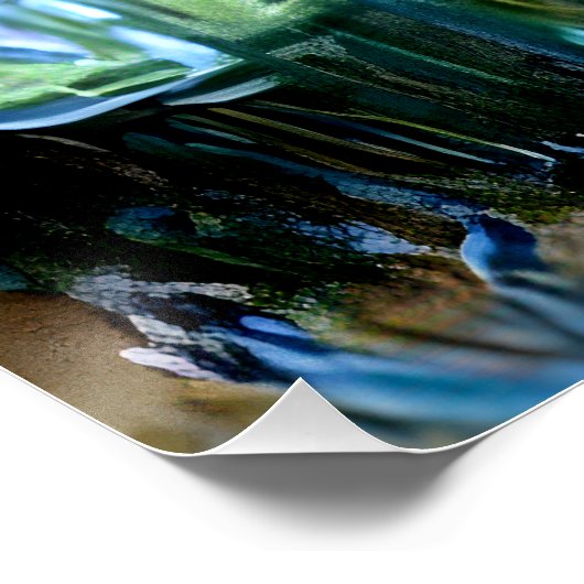 Ire und Wasserlilien im Garten von Giverny Poster (Ecke)