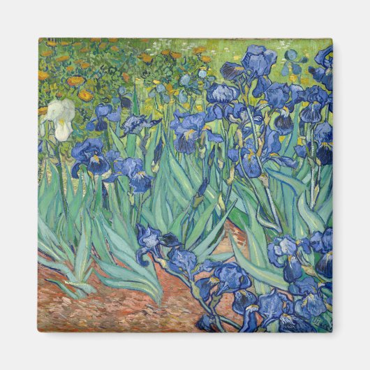 Ire | Vincent van Gogh Magnet (Vorne)