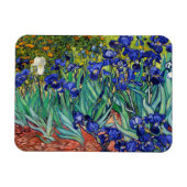 Ire von Vincent van Gogh Magnet (Horizontal)