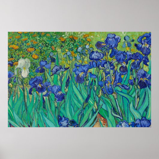 Ire von Vincent van Gogh Poster (Vorne)