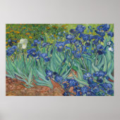 Ire von Vincent van Gogh Poster (Vorne)