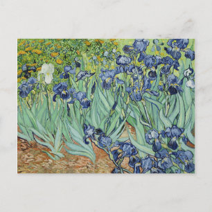 Ire von Vincent van Gogh Postkarte