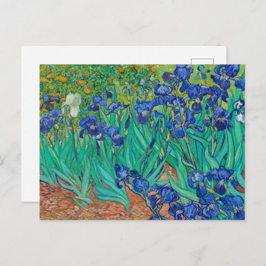 Ire von Vincent van Gogh Postkarte (Vorne/Hinten)