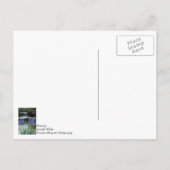 Iren im Chateau denken an Sie Postkarte (Rückseite)