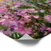 Iren im Garten von Monet Poster (Ecke)