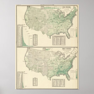 Iren und Süßkartoffeln und Heu Poster