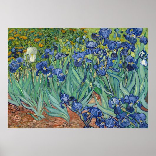 Iren von Van Gogh Poster Print (Vorne)