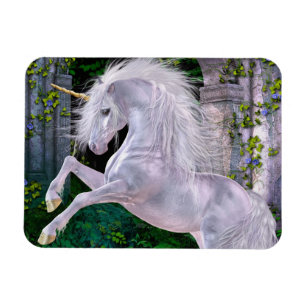 Irgendein verzauberter Abend Flexi Magnet