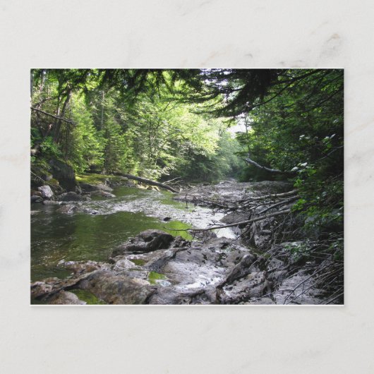 Irgendwann, Vt. Postkarte (Vorderseite)