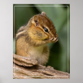 Irgendwas riecht nach Chipmunk Poster (Vorne)