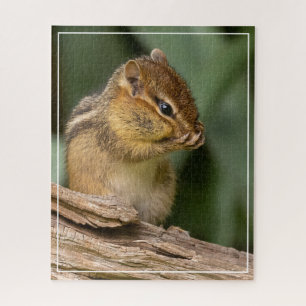 Irgendwas riecht nach Chipmunk Puzzle