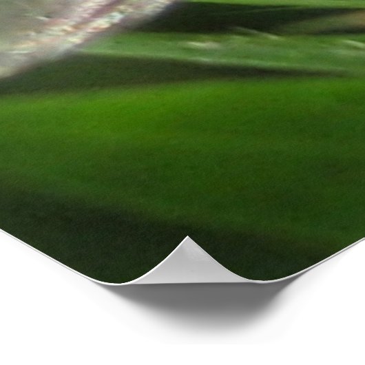 Iridescence - Blaue Flasche Poster (Ecke)