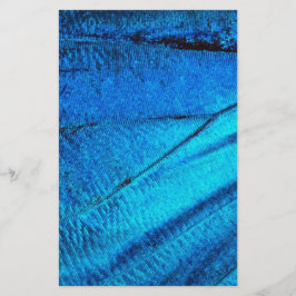 Iridescent Blue Butterfly Wing