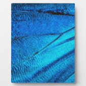 Iridescent Blue Butterfly Wing Fotoplatte (Vorderseite)
