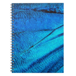 Iridescent Blue Butterfly Wing Notizblock