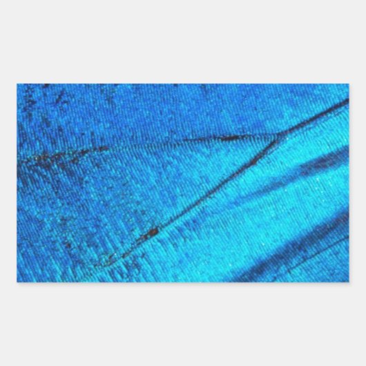 Iridescent Blue Butterfly Wing Rechteckiger Aufkleber (Vorderseite)