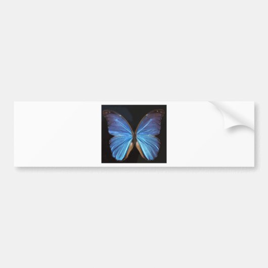 Iridescent Blue Butterfly Wings Autoaufkleber (Vorne)