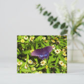 Iridescent Blue Lila mit Black Butterfly Wings Postkarte (Stehend Vorderseite)