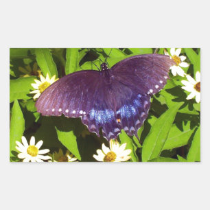 Iridescent Blue Lila mit Black Butterfly Wings Rechteckiger Aufkleber
