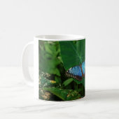 Iridescent Blue mit Black Butterfly Wings Kaffeetasse (Vorderseite Links)