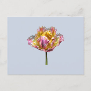 Iridescent holografische Ruffled Tulip Postkarte