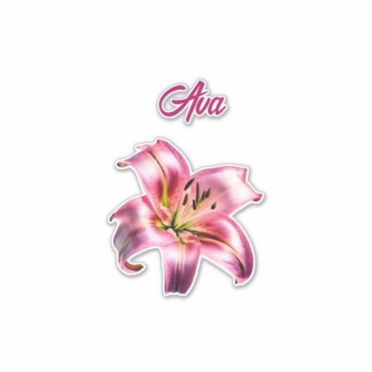 Iridescent Holographic Pink Asiatic Lily Aufkleber (Vorderseite)