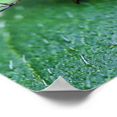 Iridescent Japanese Käfer Poster (Ecke)