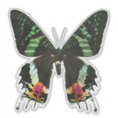 Iridescent Multicolor Butterfly Aufkleber (Vorderseite)