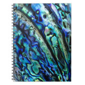 Iridescent Paua Abalone-Muschel Notizblock (Vorderseite)