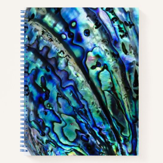 Iridescent Paua Abalone Muschel Notizblock (Vorderseite)