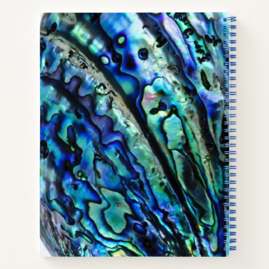 Iridescent Paua Abalone Muschel Notizblock (Rückseite)