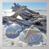 Iridescent Seashells Starfish Driftwood Sand Poster (Vorne)