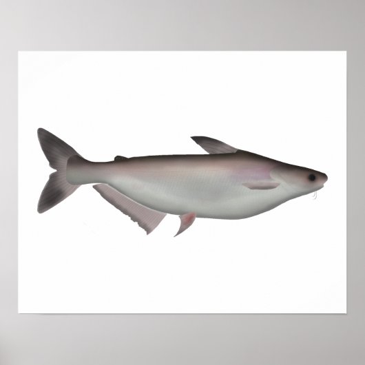 Iridescent Shark Poster (Vorne)