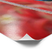 Iridescent Shine Fotodruck (Ecke)