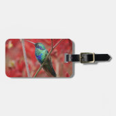 Iridescent Shine Gepäckanhänger (Vorderseite horizontal)