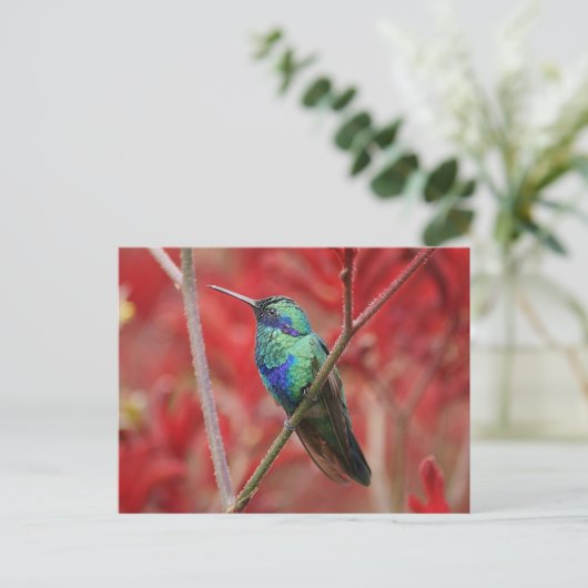 Iridescent Shine Postkarte (Stehend Vorderseite)