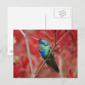 Iridescent Shine Postkarte (Vorne/Hinten)