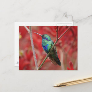 Iridescent Shine Postkarte