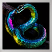 Iridescent Snakes Poster (Vorne)